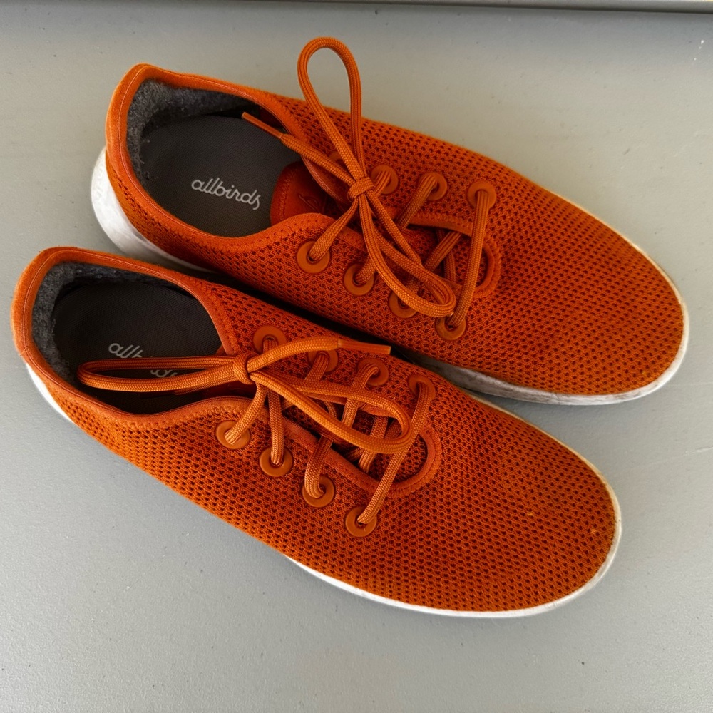 Allbird Men's Tree Runners